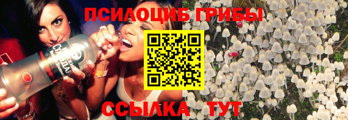 где можно купить   Вход с VPN  Краснокаменск  Псилоцибиновые грибы Magic Shrooms 