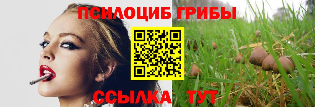 Галлюциногенные грибы GOLDEN TEACHER Краснокаменск